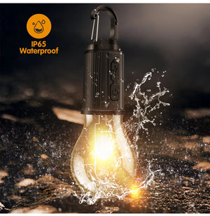 Portable Utility Bulbs