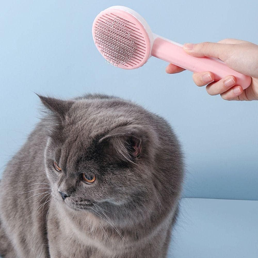 Pet Hair Removal Brush