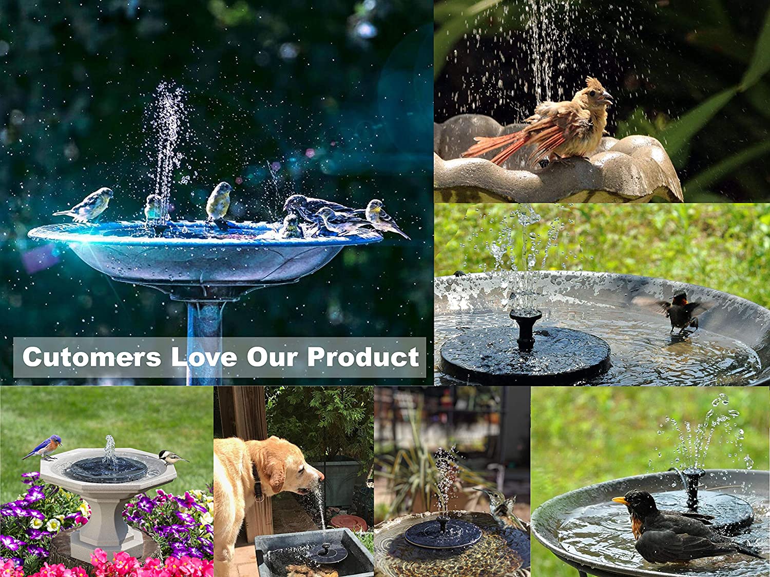 SOLAR FOUNTAIN PUMP